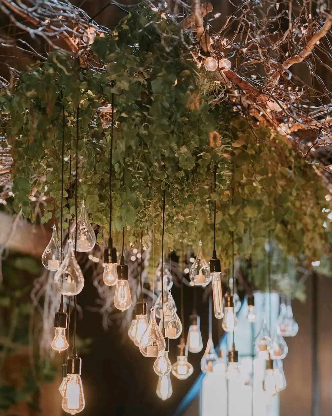 2pcs LED Outdoor String Lights 48FT Dimmable Edison Bulb for Weddings, Holidays
